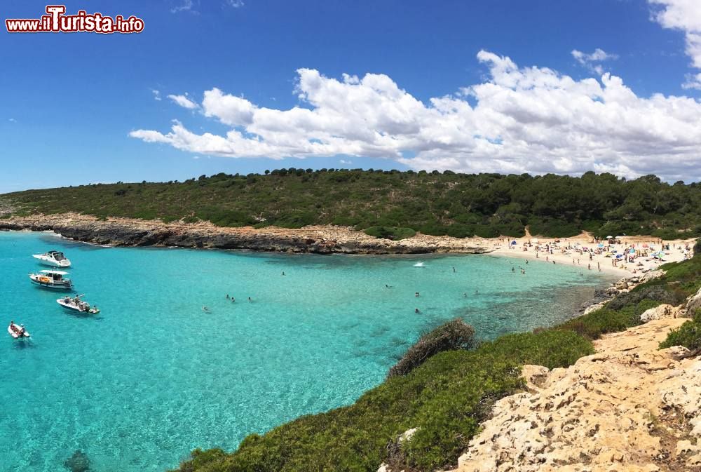 Immagine Panorama su Cala Varques a Maiorca, isole Baleari, Spagna. Questo tratto di litorale lambito da acque cristalline si trova fra le città di Porto Colom e Porto Cristo.