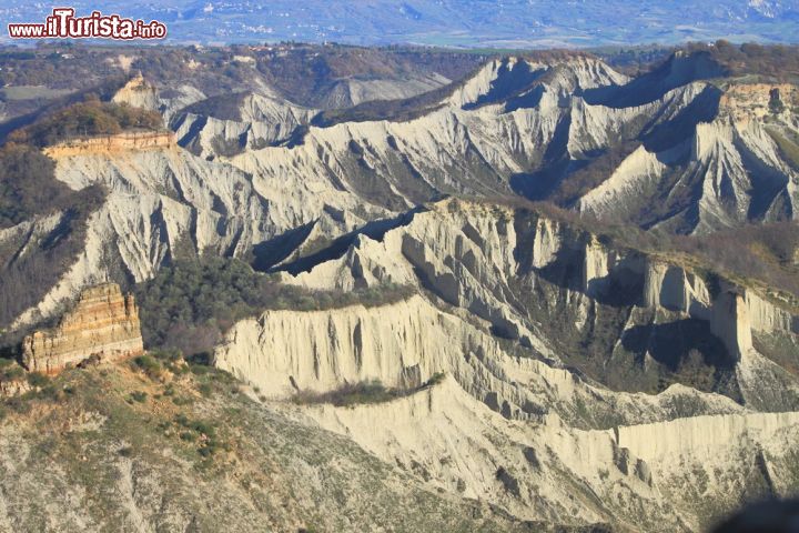 Immagine I calanchi nei pressi di Civita di Bagnoregio, Lazio. Questo fenomeno geomorfologico di erosione causato dall'acqua che dilava sulla roccia argillosa degradata, dove vi è poca copertura vegetale, crea dei solchi che si formano all'interno del terreno accentuandosi rapidamente e ramificandosi in mille direzioni - © JaroPienza / Shutterstock.com