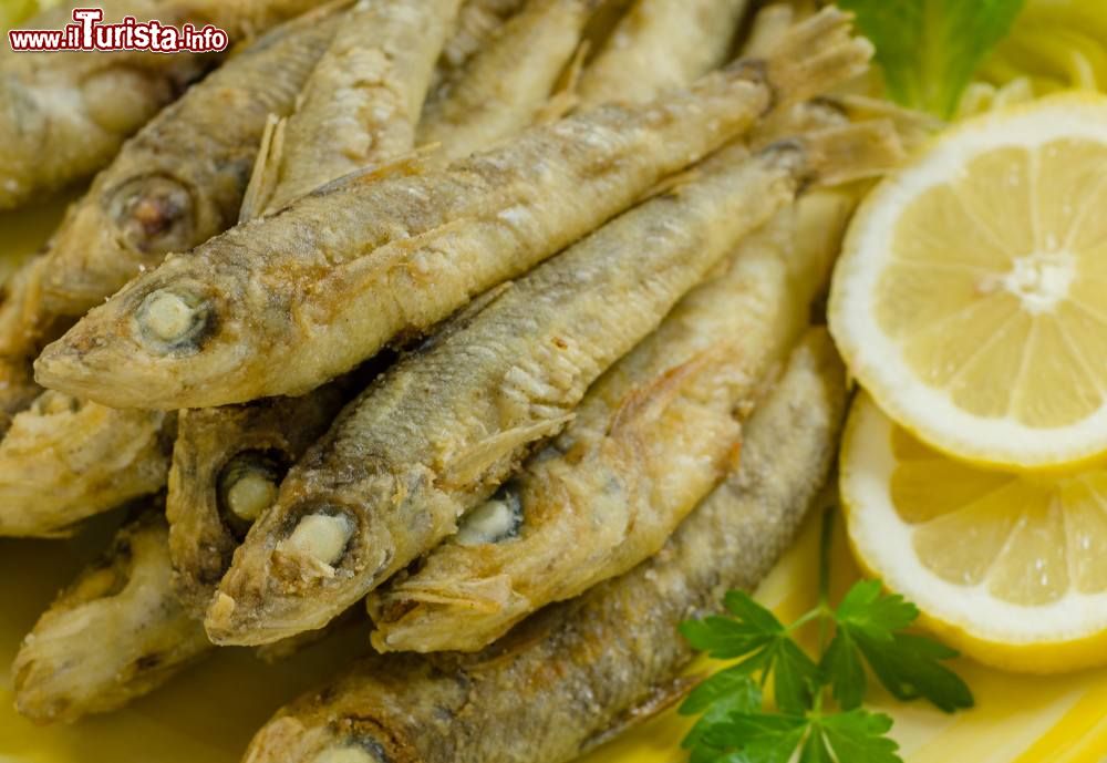 Immagine Calangianus, Sardegna: la Festa della Paranza, pesce fritto per tutti