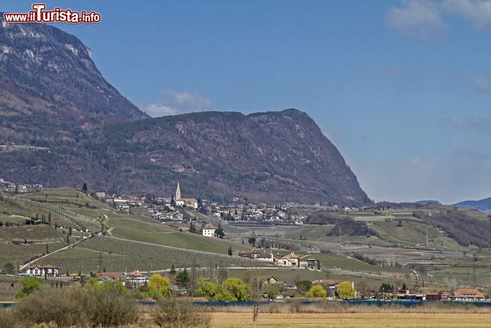 Immagine Caldaro nel Sud Tirolo, Trentino Alto Adige. E' situata sull'omonimo lago ed è conosciuta soprattutto per essere una famosa città del vino.