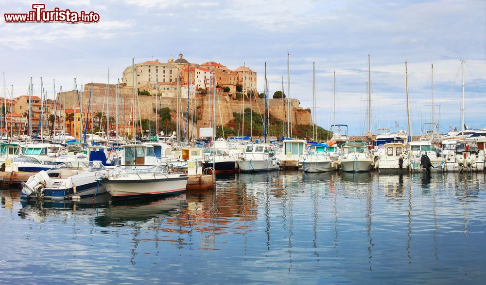 Immagine Calvi (Corsica) con la sua marina vista dal mare e la vecchia cittadella sullo sfondo.