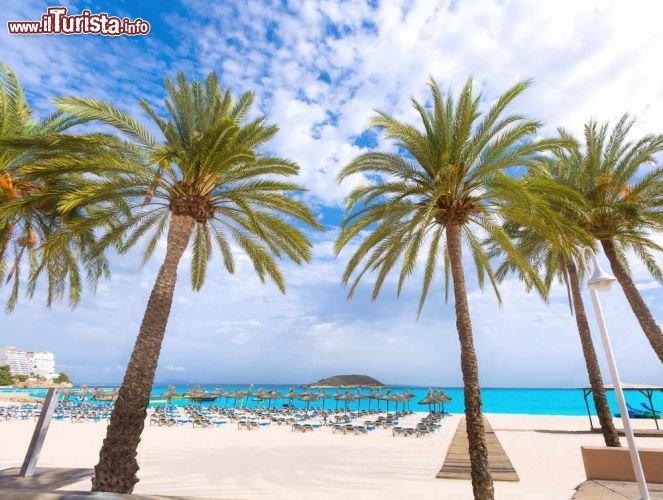 Immagine Calvia, Maiorca, spiaggia di Magalluf, isole Baleari. Per chi è alla ricerca di divertimento, questa località delle Baleari è ideale- © holbox / Shutterstock.com