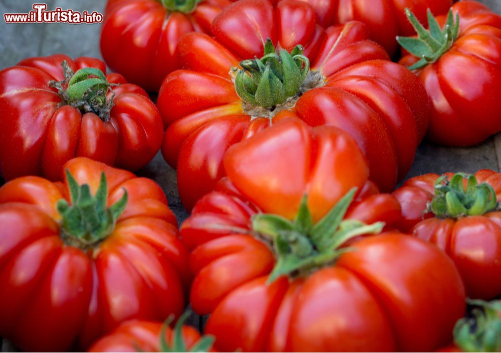 Sagra del Pomodoro Costoluto Cambiano