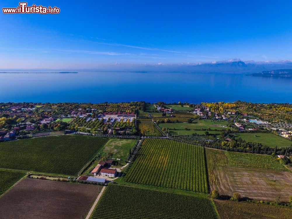Immagine La campagna circostante Desenzano del Garda, provincia di Brescia, Lombardia. In primo piano i campi coltivati e, sullo sfondo, le acque del lago.