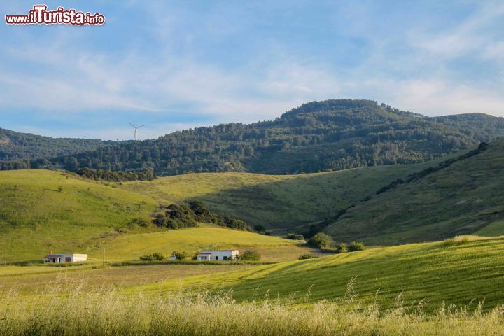 Immagine La verde campagna della Basilicata nei dintorni di Matera - © Michela Garosi / TheTraveLover.com