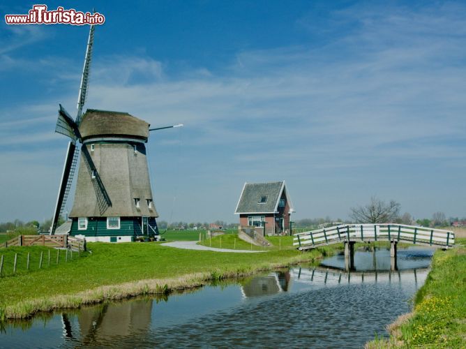 Immagine Mulini a vento delle campagne di Alkmaar (Paesi Bassi) - Il buon Don Chisciotte, quando combatteva con i mulini a vento, probabilmente era ignaro del fascino che posso costituire questi mezzi. Perché "fascino" è la parola a cui viene da pensare guardando questa immagine, fatta di una natura meravigliosamente verde, composta ed educata, arricchita da un affascinante mulino a vento così imponente e suggestivo - © PHB.cz (Richard Semik) / Shutterstock.com