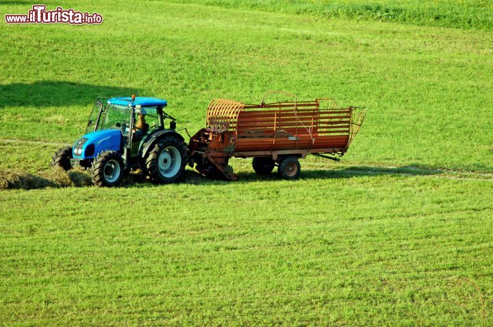 Immagine Lavori nelle campagne di Bagolino durante l'estate in Lombardia - © Franco Volpato / Shutterstock.com