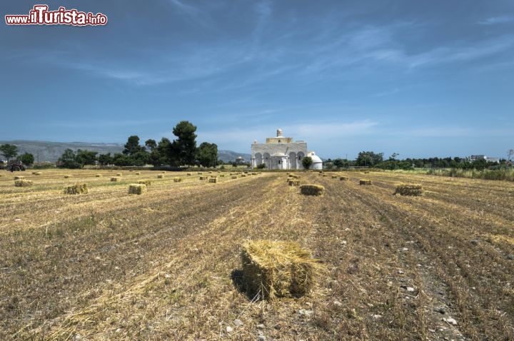 Immagine Campagne intorno a Manfredonia in direzione del Tavogliere delle Puglie - © johnnymix / Shutterstock.com