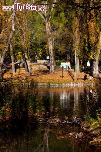 Immagine Campello sul Clitunno, il parco delle fonti - © eZeePics / Shutterstock.com