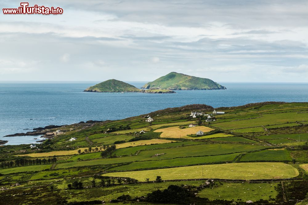 Immagine Campi a Valentia Island, Contea di Kerry, Irlanda. Il territorio, poco più che pianeggiante, si innalza solo in certi punti sino a raggiungere i 268 metri di altitudine nei pressi delle Fogher Cliffs.
