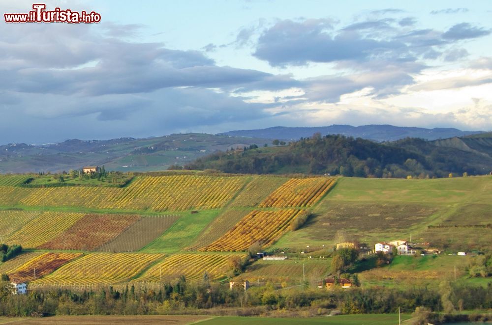 Immagine Campi coltivati sulle colline sopra Monteveglio, Emilia Romagna. Siamo nell'Appennino bolognese, nella valle del torrente Samoggia. Qui il territorio è collinare e i boschi si alternano alle coltivazioni agricole fra cui quelle pregiate della vite.