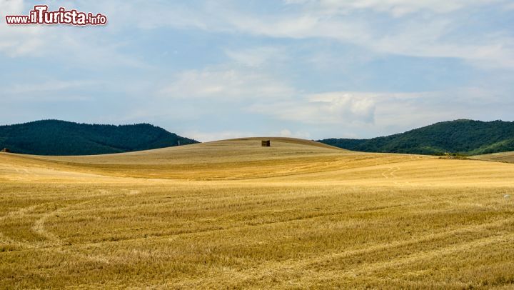 Immagine Campo di grano a Ezcaray, Spagna - Il giallo dorato di questo campo di grano appena mietuto richiama il colore del sole che splende buona parte dell'anno su questo paese europeo: in Spagna ci sono quasi 25 milioni di ettari di terreno coltivato © Ander Dylan / Shutterstock.com