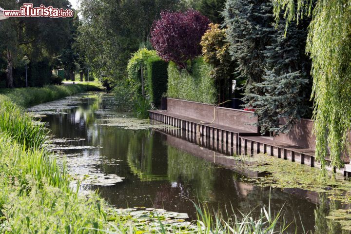Immagine Un canale della cittadina di Edam, siamo nel Noord Holland, la regione a nord di Amsterdam - © francesco de marco / Shutterstock.com