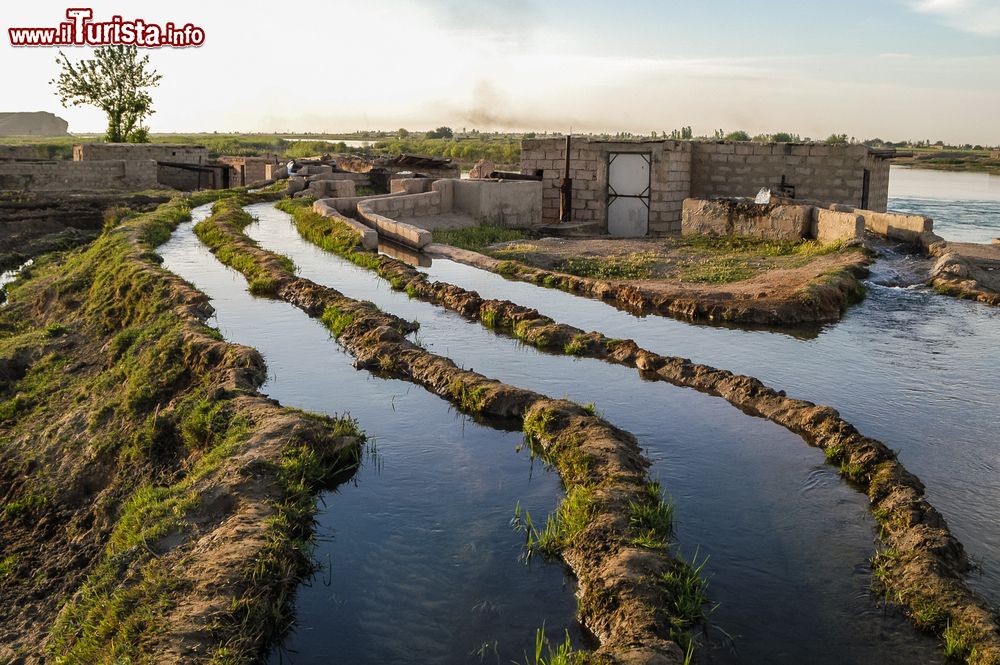 Immagine Canali di irrigazione lungo il fiume Eufrate a Dura-Europos, Siria. Il fiume nasce in Turchia dalla confluenza di due fiumi - il Kara e il Murat - e sfocia nel Golfo Persico dopo essersi unito con il Tigri.