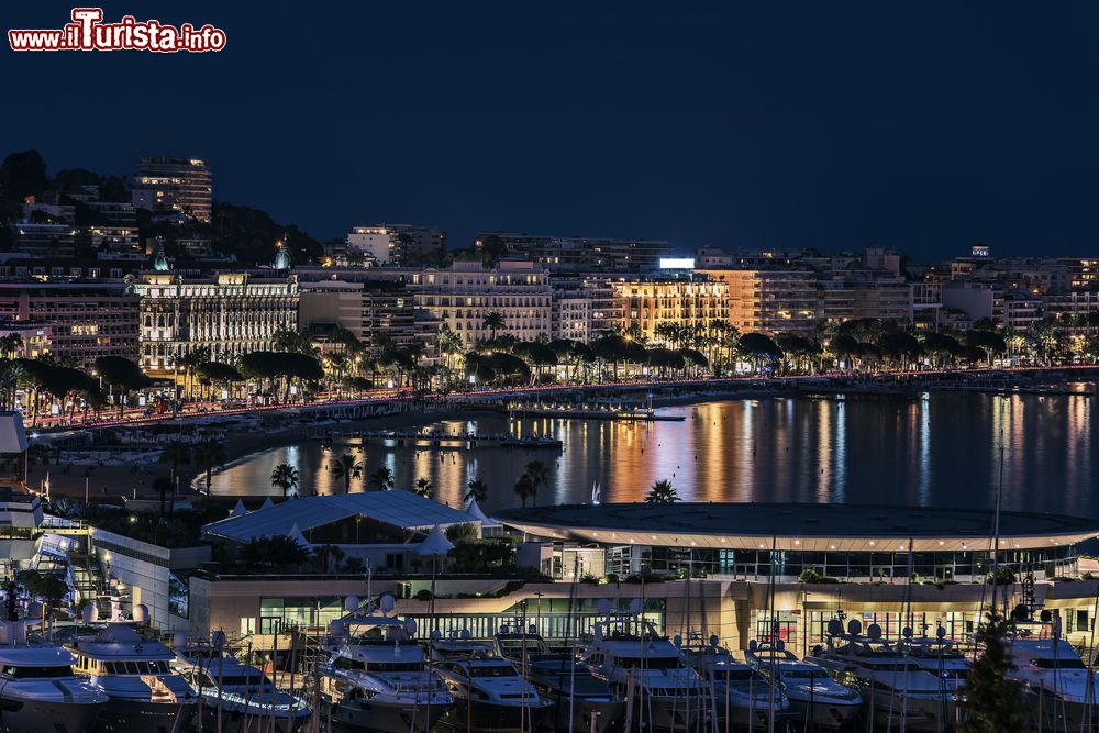 Immagine Cannes by night, Francia. Adagiata in una posizione privilegiata sulla Costa Azzurra, Cannes era anticamente un modesto villaggio di pescatori; salì agli onori della cronaca nel XIX° secolo quando venne scelta come dimora dal Ministro della giustizia inglese Lord Henry Brougham.