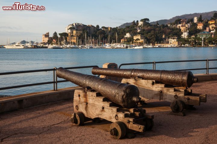 Immagine Dei cannoni medievali esposti a Rapallo - passeggiando sul lungomare di Rapallo, tra splendide palme e una vista mozzafiato, si possono ammirare anche due cannoni risalenti all'epoca medievale: dei reperti di grande valore da un punto di vista storico per quanto riguarda la città di Rapallo, che, nella sua travagliata storia, subì due attacchi particolarmente violenti: nel 1494 ad opera degli aragonesi, e nel 1549 degli uomini dell'ammiraglio ottomano Torghud. - © Khirman Vladimir / Shutterstock.com