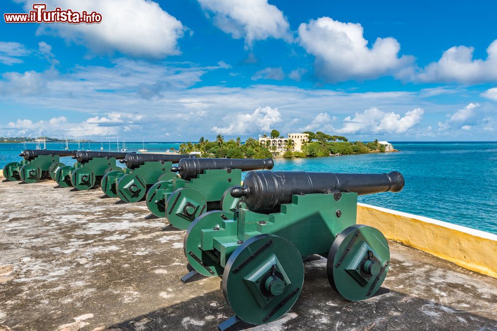 Immagine Cannoni vintage di fronte al mare dei Caraibi a Christiansted, USA.