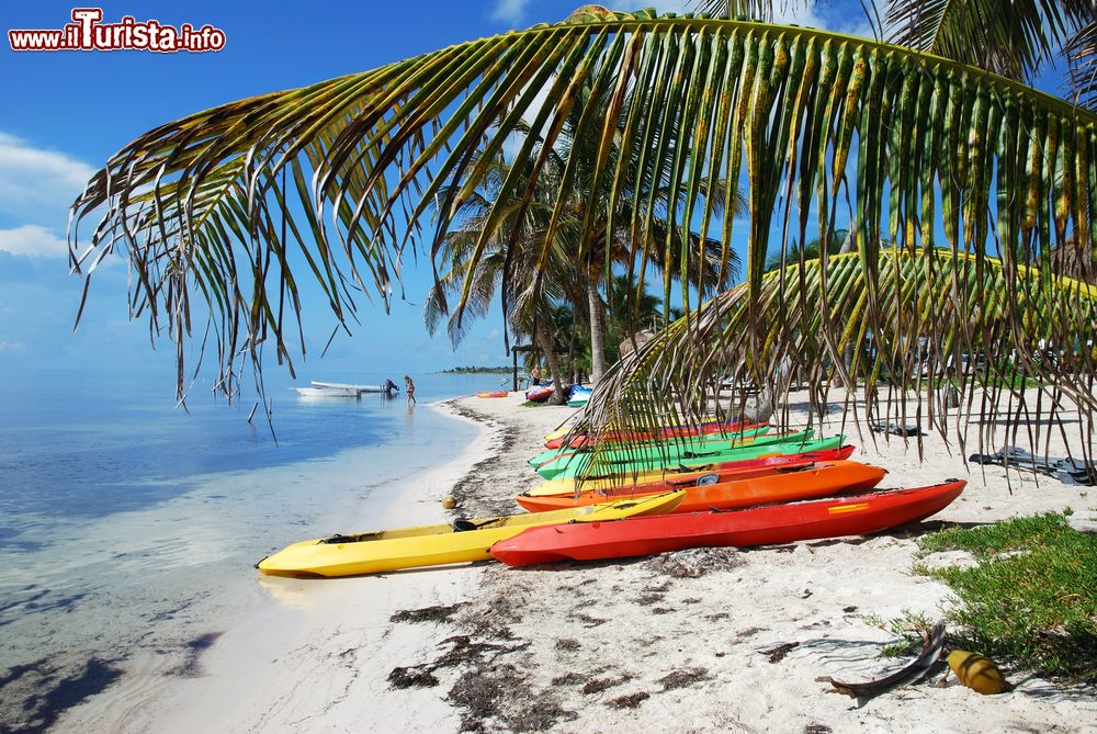 Immagine Canoe colorate sulla spiaggia sabbiosa della cittadina di Mahahual, Messico.