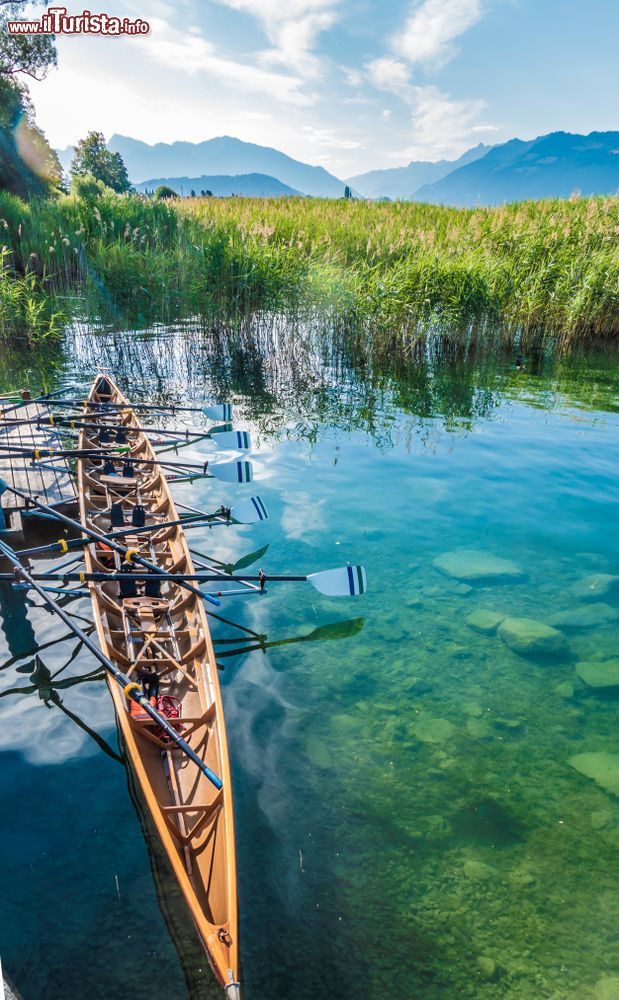 Immagine Canottaggio nelle acque del lago di Zurigo a Rapperswil-Jona, San Gallo, Svizzera.