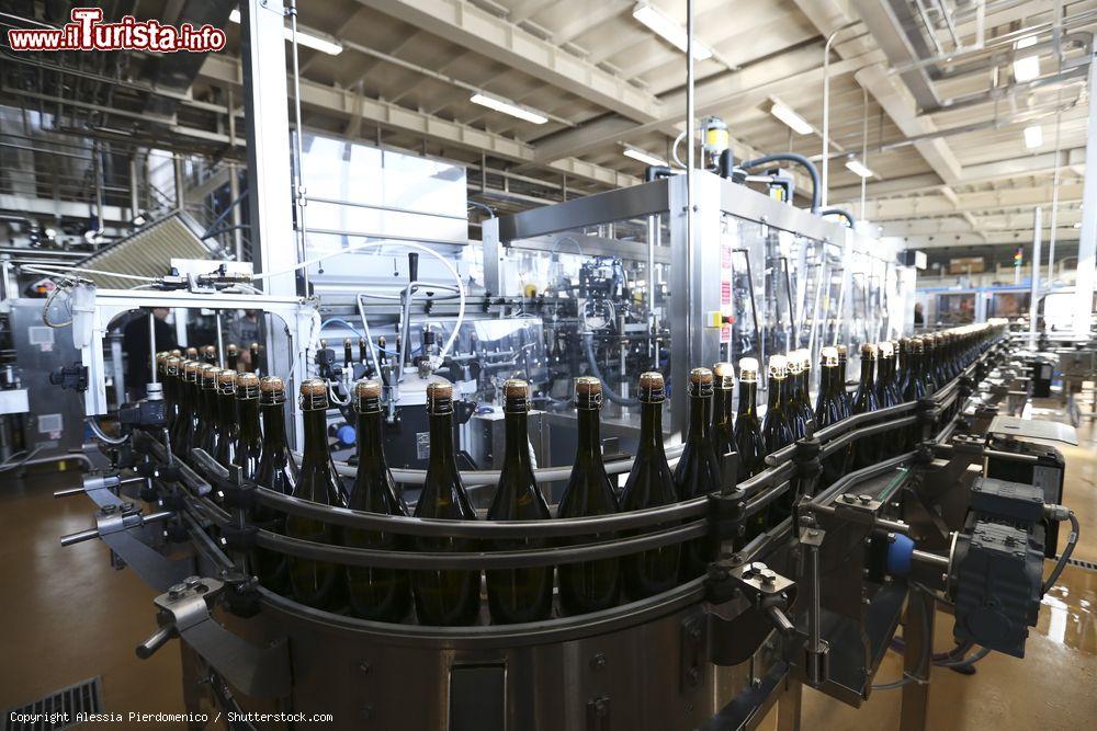 Immagine Cantina di Conegliano per la produzione del vino Prosecco Superiore - © Alessia Pierdomenico / Shutterstock.com