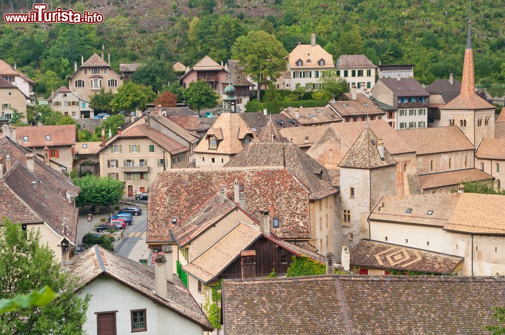 Le foto di cosa vedere e visitare a Romainmotier