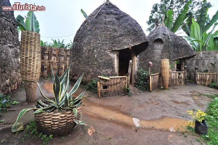 Immagine Capanne di etnia Dorze nel villaggio di Arba Minch, Etiopia. Con i loro tetti di forma conica possono arrivare a superare i 10 metri di altezza.