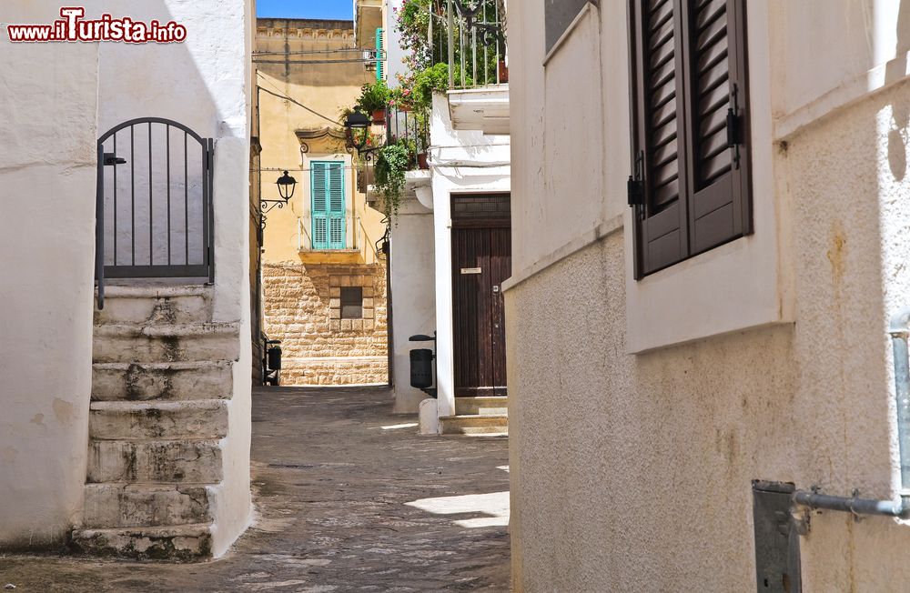 Immagine Un caratteristico angolo del centro storico di Fasano, Puglia, Italia.