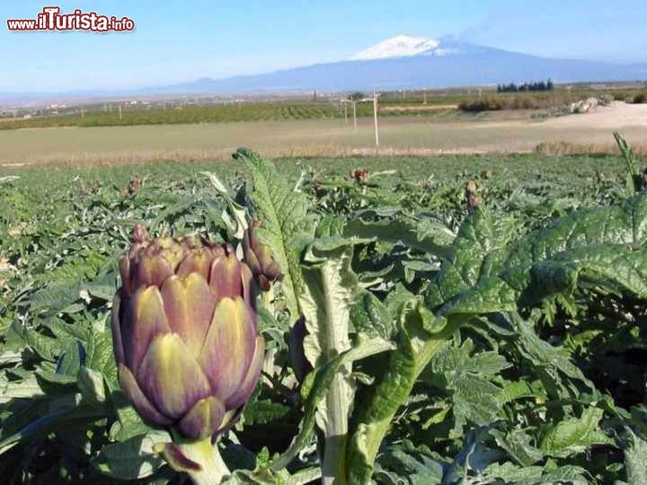 Le foto di cosa vedere e visitare a Ramacca