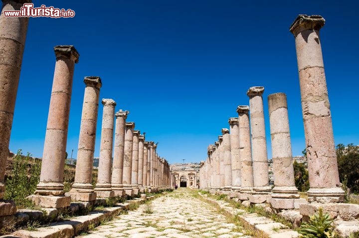 Immagine La Strada Colonnata (Cardo maximus), uno dei punti più spettacolri durante un tour nell'antica città romana di Jerash (Gerasa) in Giordania