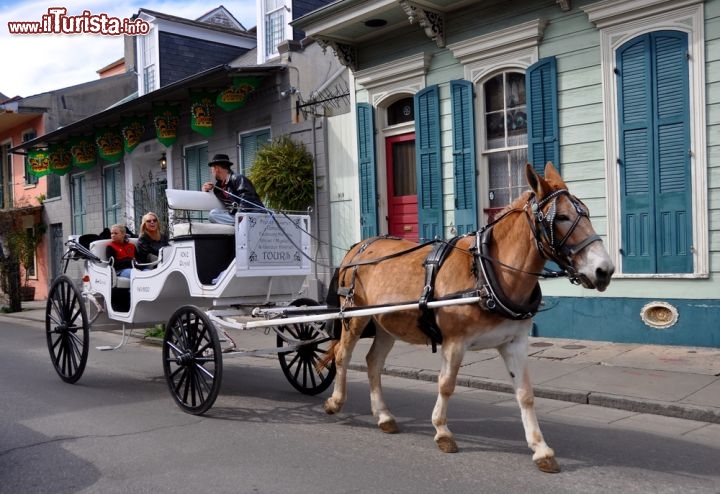 Immagine Tour in carrozza a New Orleans - Per visitare i luoghi più interessanti di questa bella città dello stato della Louisiana si può scegliere di salire su una delle sue linee di vecchi tram, passeggiare a piedi o ancora mettersi comodamente seduti su una delle tipiche carrozze trainate da cavalli che si vedono spesso in giro per il centro storico di Big Easy, la "grande facile", nome con cui è anche nota New Orleans - © Chuck Wagner / Shutterstock.com