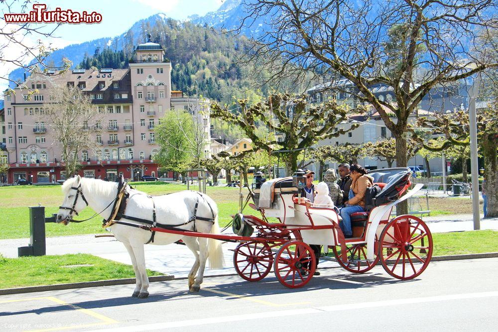 Immagine Una carrozza trainata da un cavallo con turisti a Interlaken, Svizzera. E' uno dei simpatici tour che si possono effeattuare per andare alla scoperta di questa graziosa cittadina dell'Oberland Bernese - © nupook538 / Shutterstock.com