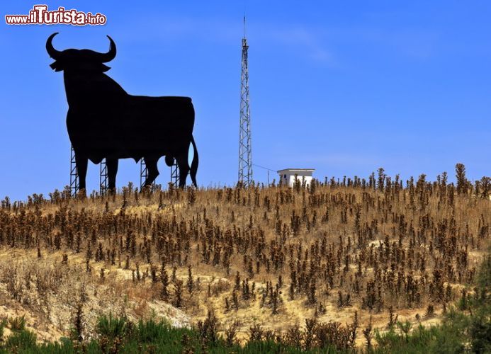 Immagine La mitica icona del toro domina il paesaggio lungo l'autostrada. Si tratta di uno dei simboli per eccellenza della Spagna - foto © Fulcanelli /Shutterstock.com