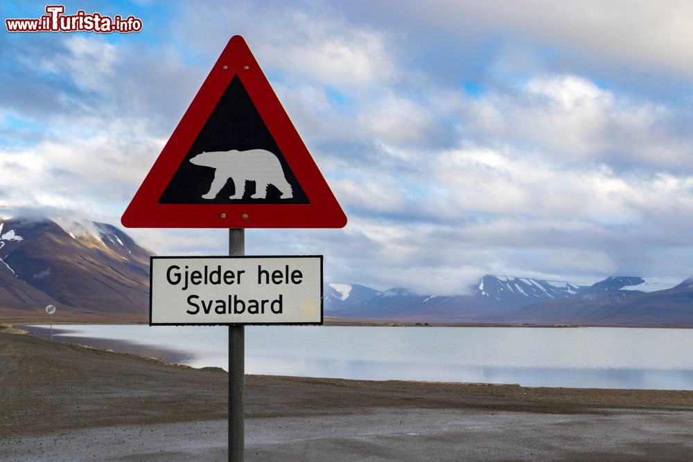 Immagine Cartello di segnalazione dell'orso polare nei pressi della città di Longyearbyen, Svalbard, Norvegia.
