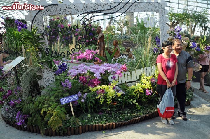 Immagine Cartolina dal Flower Dome di Singapore. Fiori, piante e natura rigogliosa per questa serra sinuosa a forma di gigantesca conchiglia dove turisti e visitatori possono trovare splendidi scorci panoramici per una simpatica foto ricordo - © Sonja Vietto Ramus