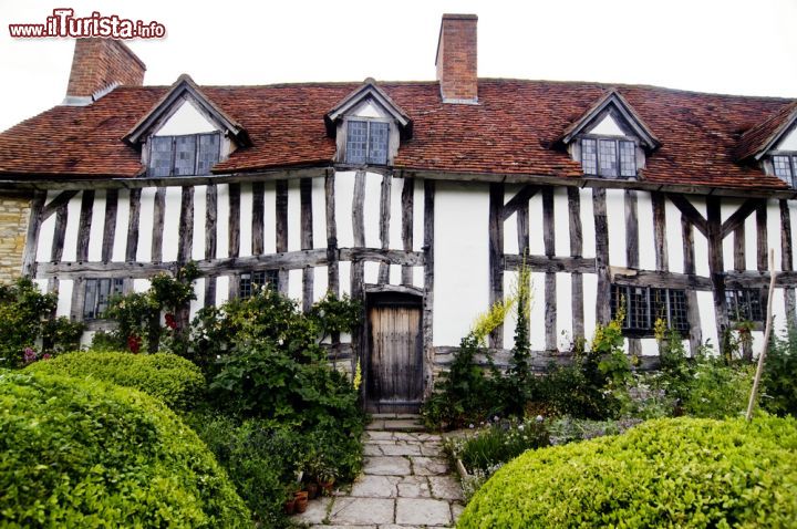 Immagine Casa di Mary Arden, madre di Shakespeare, a Stratford-upon-Avon in Inghilterra - Un paio di chilometri fuori Stratford-upon-Avon si trova una bella casa colonica in legno in stile Tudor dove, prima di sposarsi, visse la madre di William Shakespeare. Sede del museo di campagna del poeta inglese, ospita mostre di attrezzi agricoli e dimostrazioni di falconeria oltre ad un laghetto con le anatre e alla fucina di un fabbro. La casa è caratterizzata da un'atmosfera fiabesca grazie anche alle pareti irregolari e alle piastrelle fatte a mano © Paul Matthew Photography / Shutterstock.com