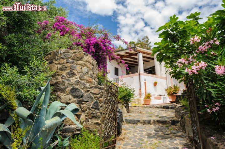 Immagine Casa fra la vegetazione sull'isola di Alicudi, Sicilia - Una bella abitazione tradizionale sull'isola di Alicudi: tetto piano per la raccolta dell'acqua piovana, poi convogliata in grandi cisterne, e camere che si aprono su terrazzi con sedute in muratura e colonne a tronco di cono su cui appoggiare le travi dei pergolati. A rendere ancora più suggestive queste abitazioni non mancano i profumi e i colori di fiori e piante che ne impreziosiscono l'architettua © EugeniaSt / Shutterstock.com