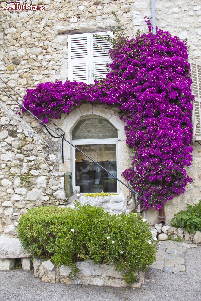Immagine Una casa in pietra a Saint-Paul-de-Vence, Francia del sud. Passeggiando per questo romantico villaggio medievale se ne possono ammirare scorci caratteristici.