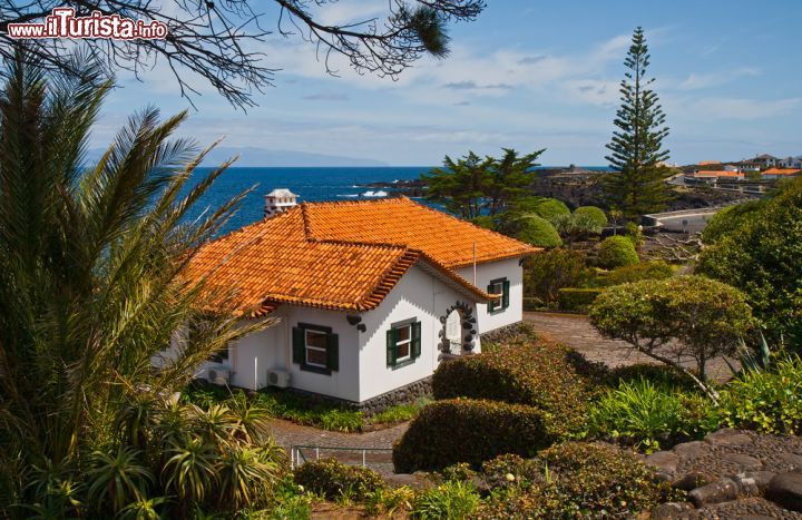 Immagine Una tipica casa dell'isola di Pico, il cono vulcanico che la mano dell'uomo ha sapientemente trasformato in vigneti e frutteti che irrompono dalla lava nera - © Yulia_B / Shutterstock.com