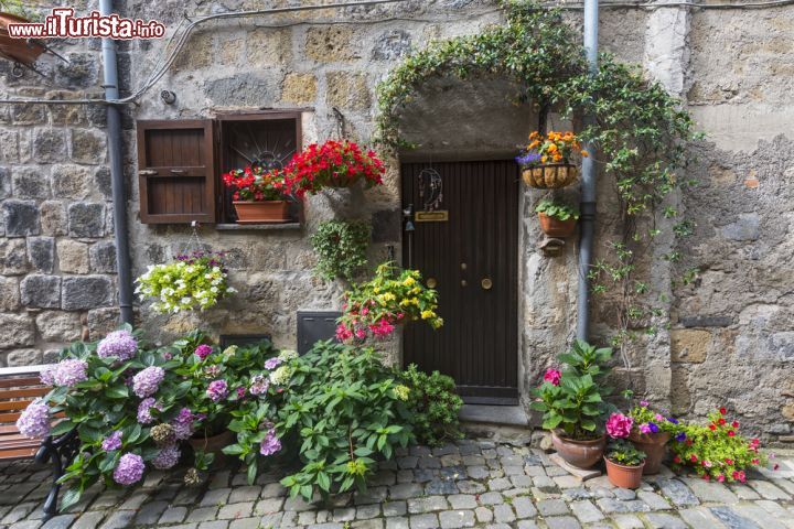 Immagine Casa tradizionale a Bolsena, Italia. La facciata in pietra si impreziosisce dei colori sgargianti di questi fiori dalle mille sfumature - © Claudio Giovanni Colombo / Shutterstock.com