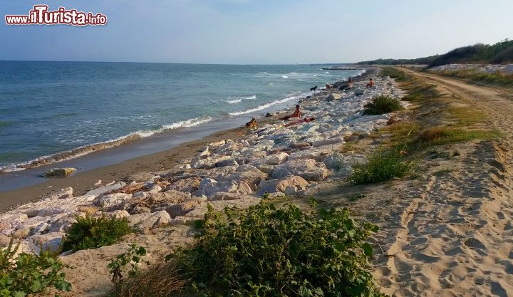 Immagine Un tratto di Riviera romagnola selvaggia. Non è così scontato trovare i litorale libero dagli stabilimenti in Romagna, ma a Casalborsetti (RA) esistono diversi tratti di spiaggia libera.