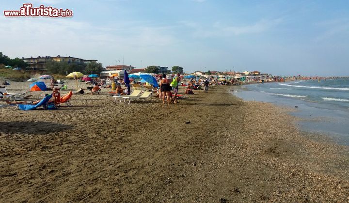 Immagine Casalborsetti, Ravenna: la spiaggia dei cani si trova presso il bagno Overbeach.