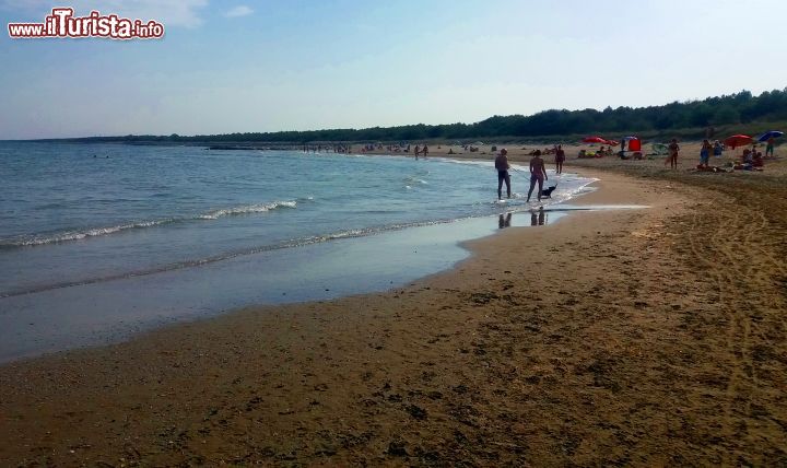 Immagine Casalborsetti (Ravenna) dispone di diversi tratti di spiaggia libera, ottima per chi preferisce spazi più ampi rispetto a quelli proposti dagli stabilimenti.