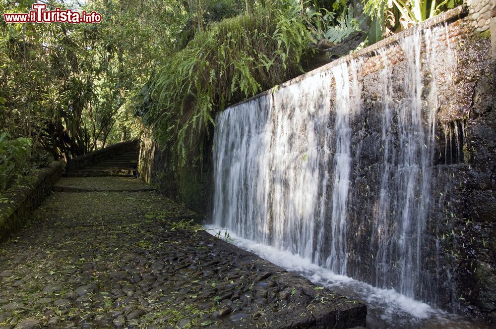 Immagine Cascata artificiale al Barranca del Cupatitzio, Uruapan, Messico.