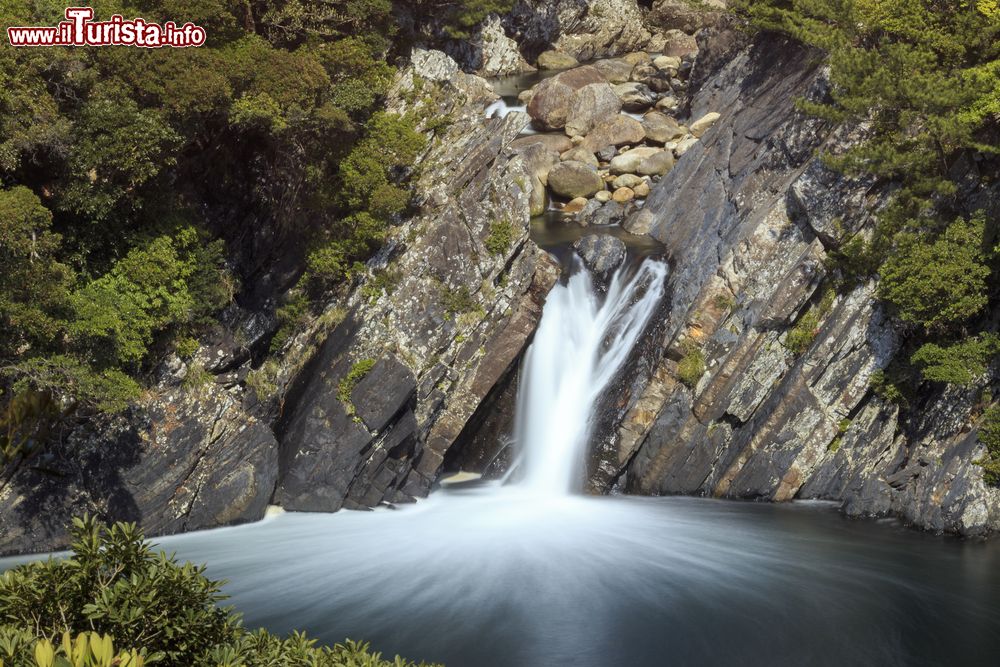 Immagine Cascata di Toroki sull'isola di Yakushima, Giappone. Hanno la particolarità di gettarsi direttamente nell'oceano creando così un rumore assordante.