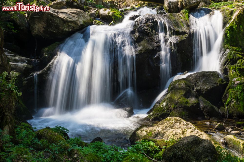 Immagine Cascata di Triberg (Germania) illuminata dal sole.