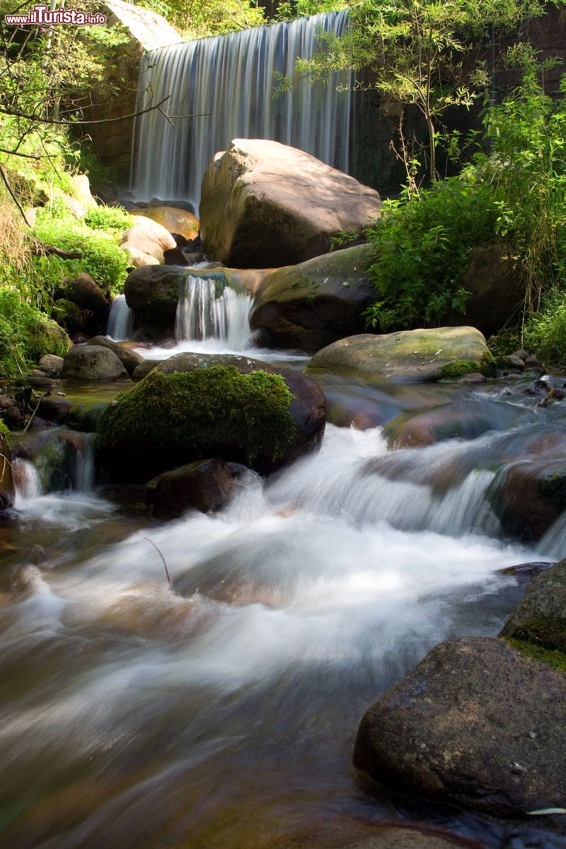 Immagine Cascata in Val di Fiemme nei pressi di Valfloriana in Trentino - © Domenico Salvagnin CC BY 2.0, Wikipedia