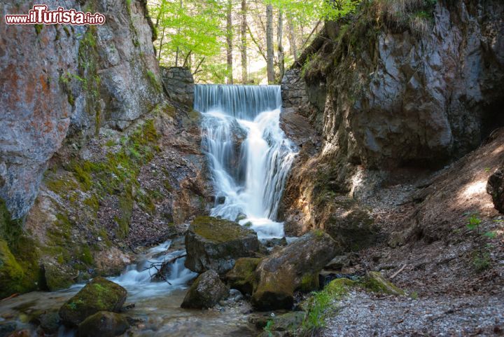 Immagine Cascata nei dintorni alpini di Mittenwald, Germania - © Stacey Newman / Shutterstock.com