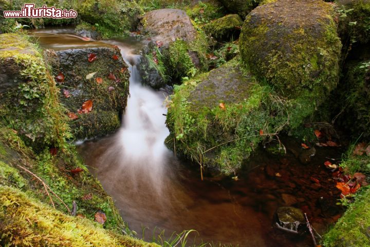 Immagine Cascata presso il Teufelsbrucke di Kassel, Germania - Colori autunnali per il paesaggio che accoglie una delle cascate al Ponte del Diavolo nel Bergpark © anweber / Shutterstock.com