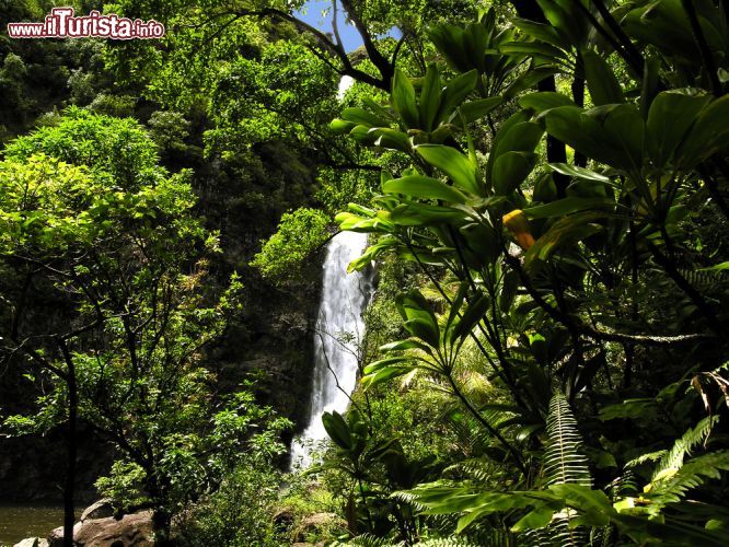 Immagine Cascata sull'isola di Molokai, Hawaii