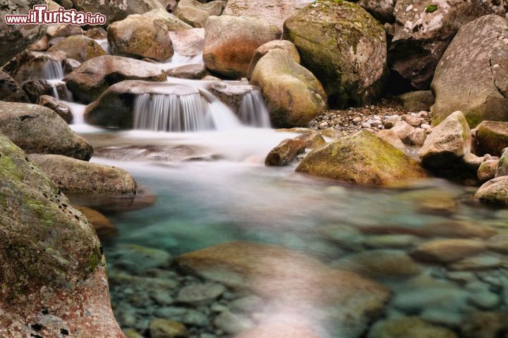 Immagine Una limpida cascata creatasi dal corso della Restonica, in uno dei territori più affascinanti della Corsica - la Restonica, affluente del Tavignano, segue il suo corso nella splendida valle a cui dà il nome, un paradiso naturale nel cuore geografico della Corsica. Qui, tra rocce di granito, il fiume scorre limpido e crea talvolta piscine naturali e talvolta piccole cascate, in uno scenario semplicemente unico. - © Jon Ingall / Shutterstock.com